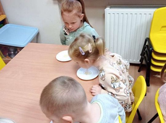 GR. I Dzień Pluszowego Misia