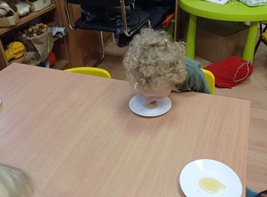 GR. I Dzień Pluszowego Misia