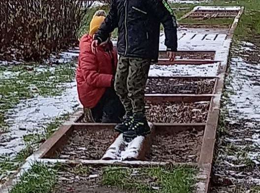 Gr. IV - Zajęcia z programu "Przyjaciele Zippiego"