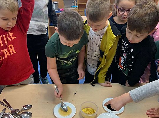 Gr IV Projekt ogólnopolski „ Zdrowo jem-więcej wiem”.