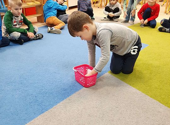 Gr IV "Przyjaciele Zippiego"