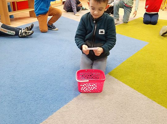 Gr IV "Przyjaciele Zippiego"