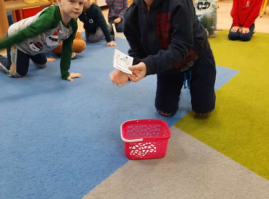 Gr IV "Przyjaciele Zippiego"