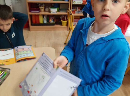 Gr IV "Przyjaciele Zippiego"