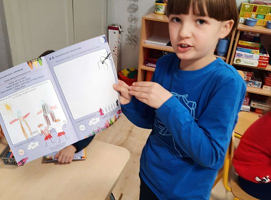 Gr IV "Przyjaciele Zippiego"