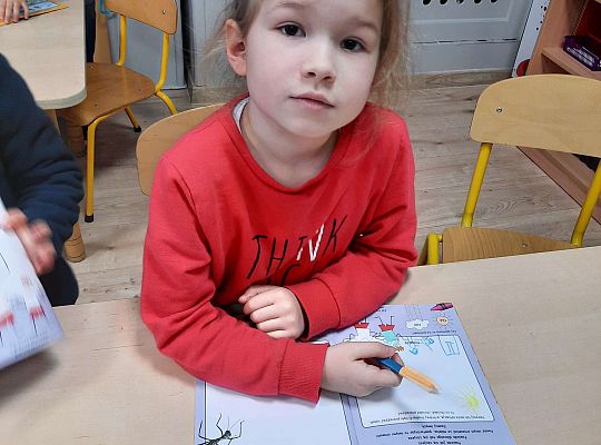 Gr IV "Przyjaciele Zippiego"