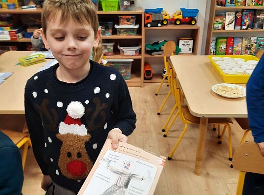 Gr IV "Przyjaciele Zippiego"