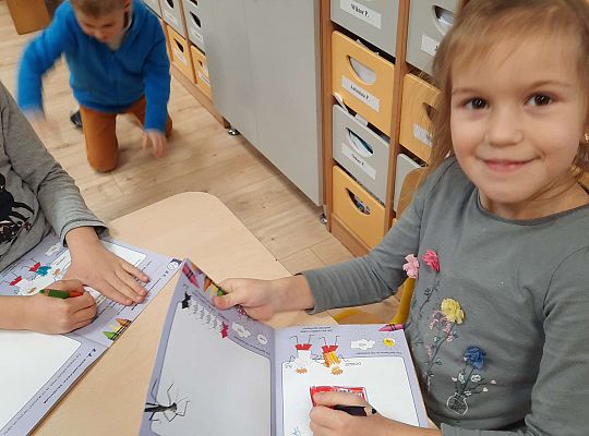 Gr IV "Przyjaciele Zippiego"