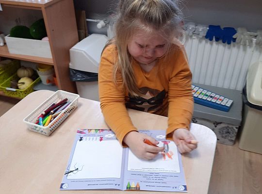 Gr IV "Przyjaciele Zippiego"