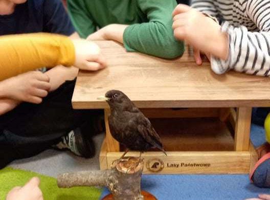 Gr. IV Zajęcia z pracownikiem Słowińskiego Parku Narodowego