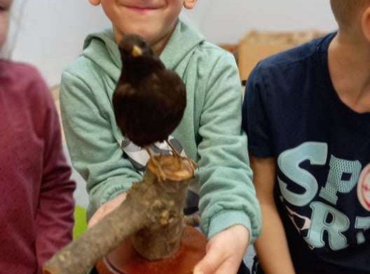 Gr. IV Zajęcia z pracownikiem Słowińskiego Parku Narodowego