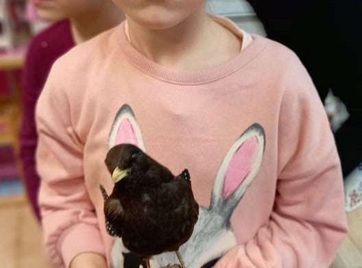 Gr. IV Zajęcia z pracownikiem Słowińskiego Parku Narodowego