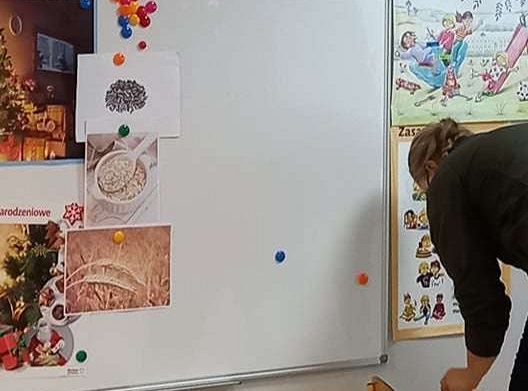 Gr. IV Zajęcia z pracownikiem Słowińskiego Parku Narodowego