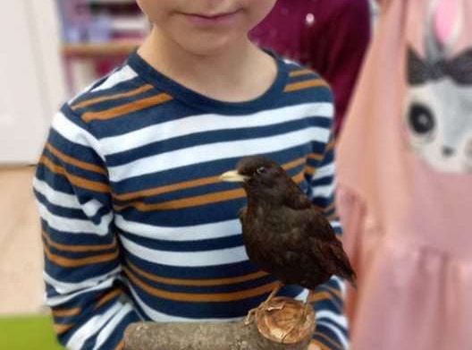 Gr. IV Zajęcia z pracownikiem Słowińskiego Parku Narodowego