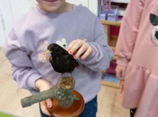 Gr. IV Zajęcia z pracownikiem Słowińskiego Parku Narodowego