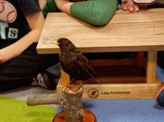 Gr. IV Zajęcia z pracownikiem Słowińskiego Parku Narodowego