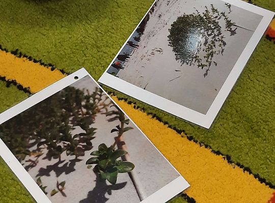 Gr. I,II,III Zajęcia z pracownikiem Słowińskiego Parku Narodowego