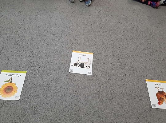 Gr. III Co wiem o zdrowej żywności?