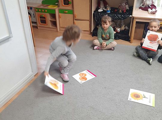 Gr. III Co wiem o zdrowej żywności?