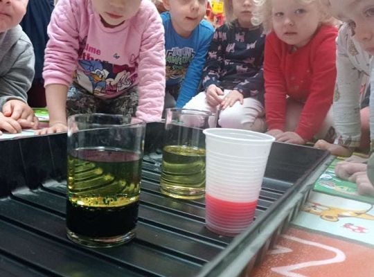 Gr. I Zajęcia do projektu "Gramy zmysłami" - wzrok