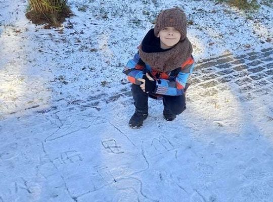 Gr. IV - Dokarmiamy ptaki