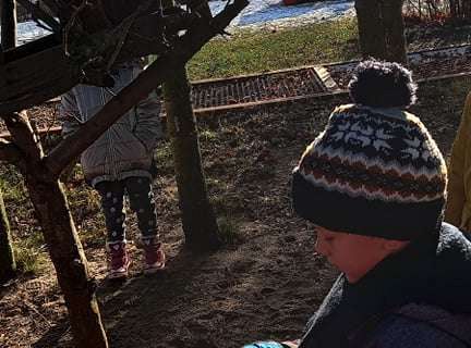 Gr. IV - Dokarmiamy ptaki