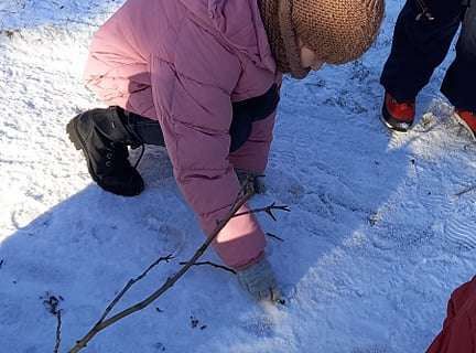 Gr. IV - Dokarmiamy ptaki