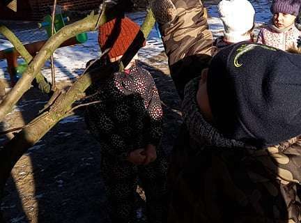 Gr. IV - Dokarmiamy ptaki