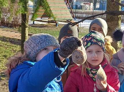 Gr. IV - Dokarmiamy ptaki