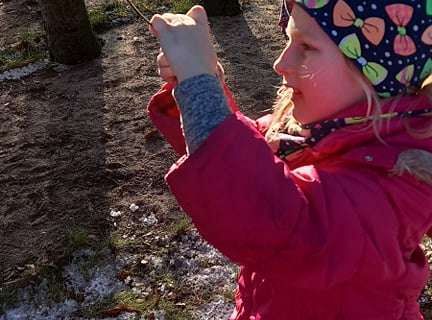 Gr. IV - Dokarmiamy ptaki