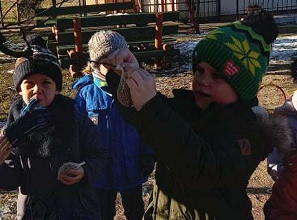 Gr. IV - Dokarmiamy ptaki