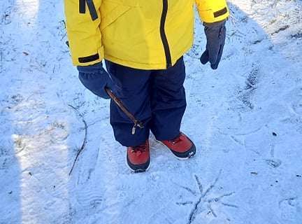 Gr. IV - Dokarmiamy ptaki