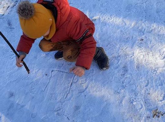 Gr. IV - Dokarmiamy ptaki