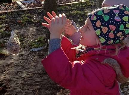 Gr. IV - Dokarmiamy ptaki