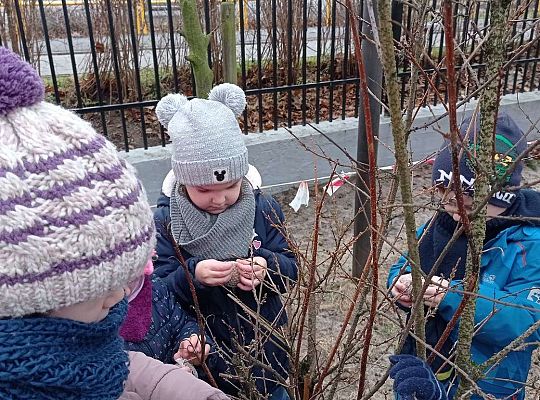 Gr. II Dokarmiamy ptaki