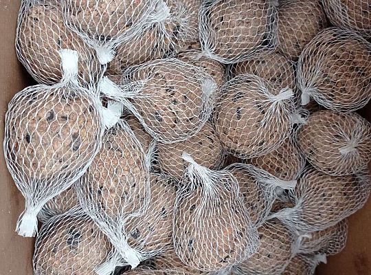 Gr. II Dokarmiamy ptaki