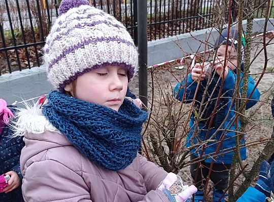 Gr. II Dokarmiamy ptaki