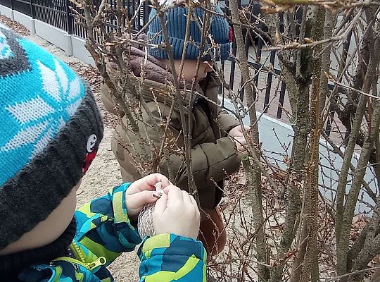 Gr. II Dokarmiamy ptaki