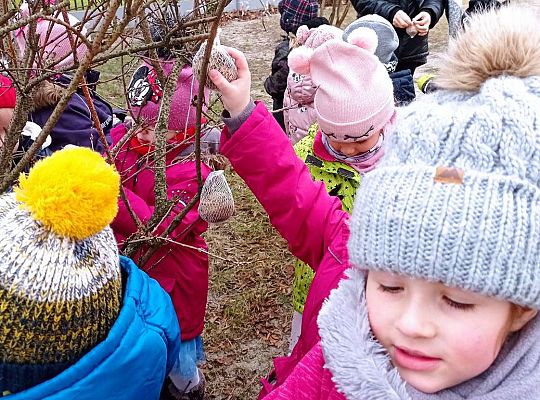 Gr. II Dokarmiamy ptaki