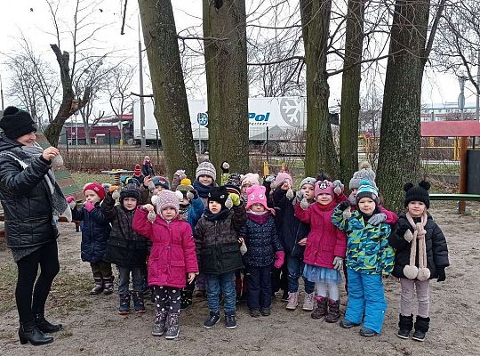 Gr. II Dokarmiamy ptaki