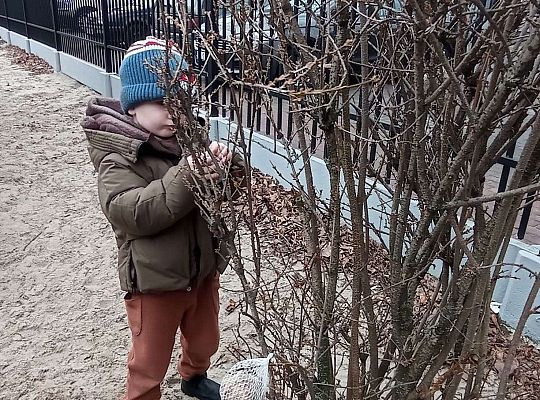 Gr. II Dokarmiamy ptaki