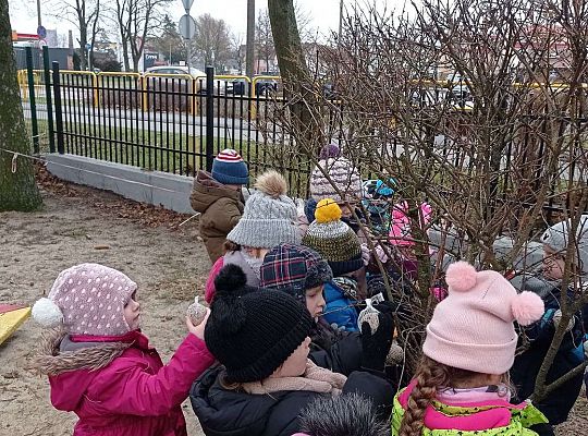 Gr. II Dokarmiamy ptaki