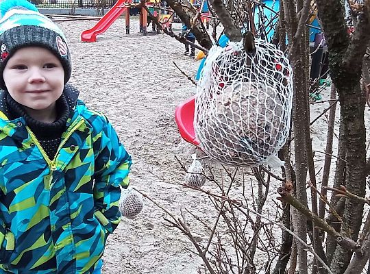 Gr. II Dokarmiamy ptaki