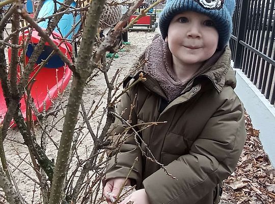 Gr. II Dokarmiamy ptaki