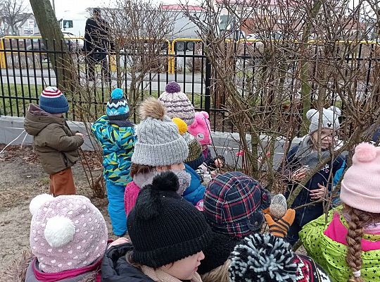 Gr. II Dokarmiamy ptaki