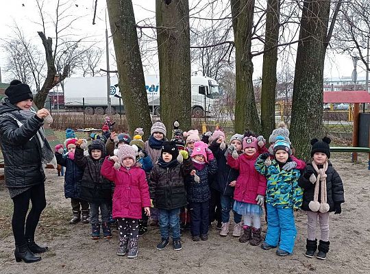 Gr. II Dokarmiamy ptaki