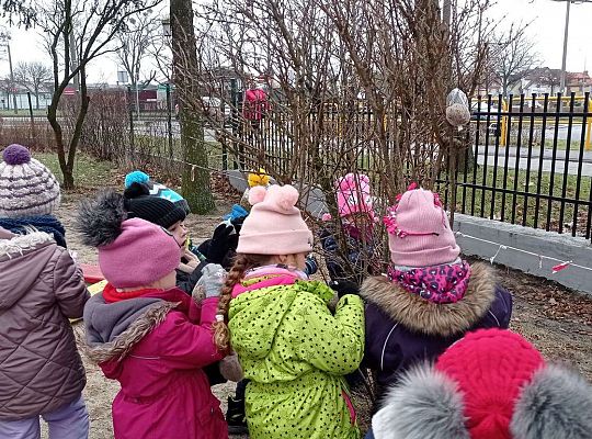 Gr. II Dokarmiamy ptaki