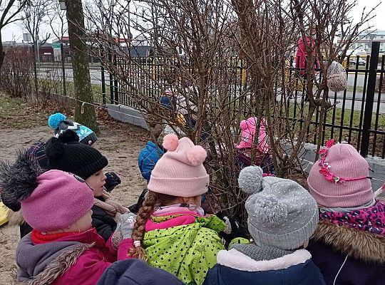 Gr. II Dokarmiamy ptaki