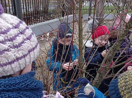 Gr. II Dokarmiamy ptaki