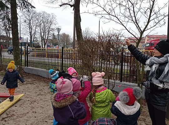 Gr. II Dokarmiamy ptaki